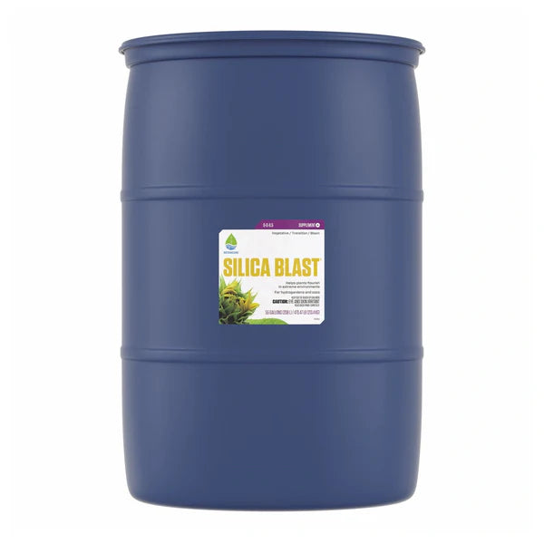 BOTANICARE SILICA BLAST