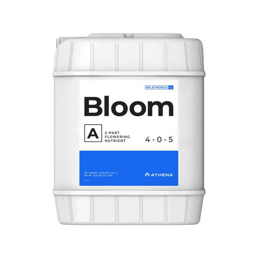 ATHENA BLOOM A