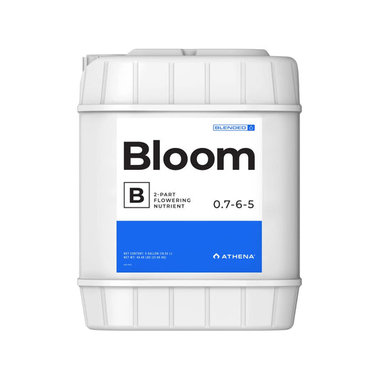 ATHENA BLOOM B