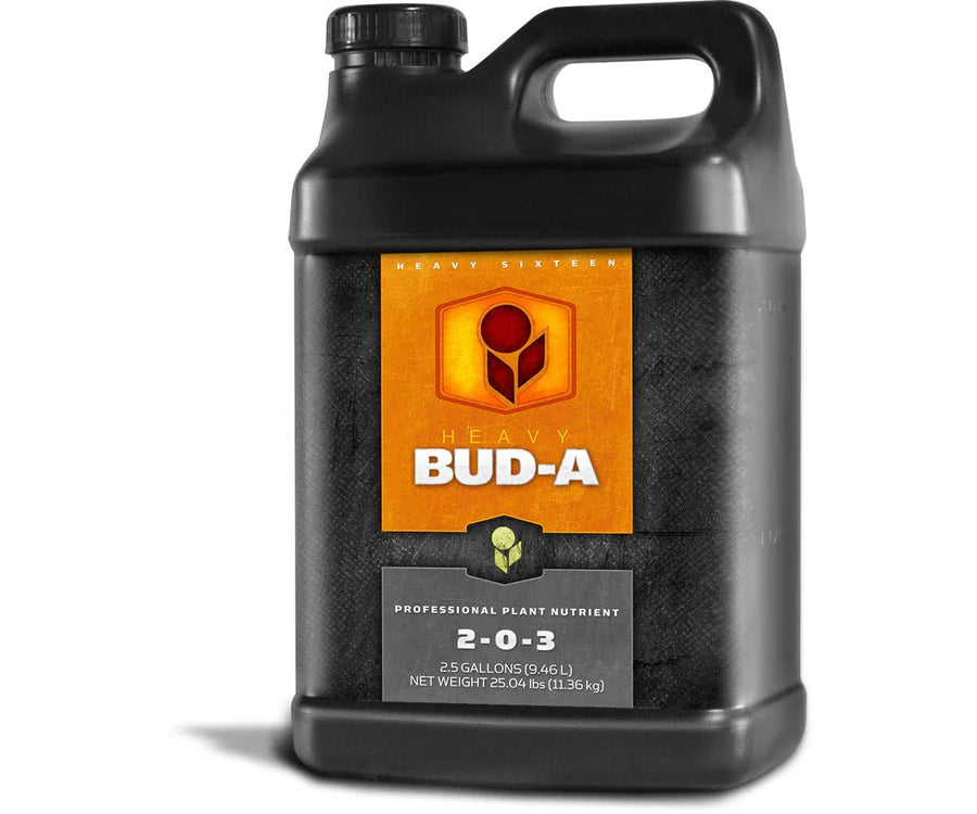 HEAVY 16 BUD A