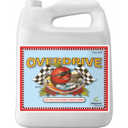 ADV NUTE OVERDRIVE