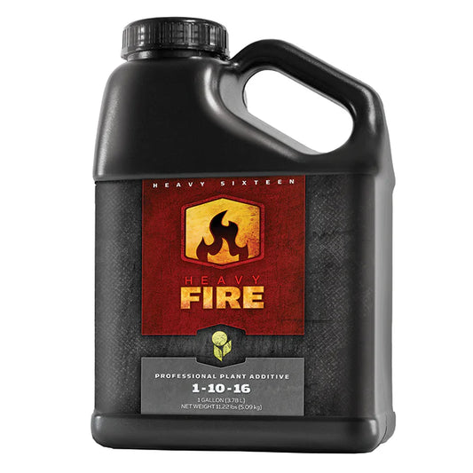 Heavy 16 Fire