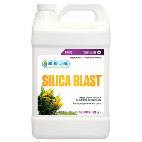 BOTANICARE SILICA BLAST