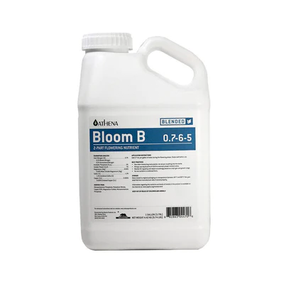 ATHENA BLOOM B