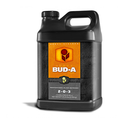 HEAVY 16 BUD A