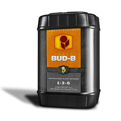HEAVY 16 BUD B