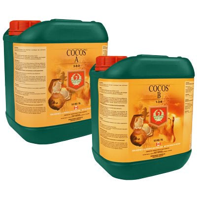 H&G COCOS B