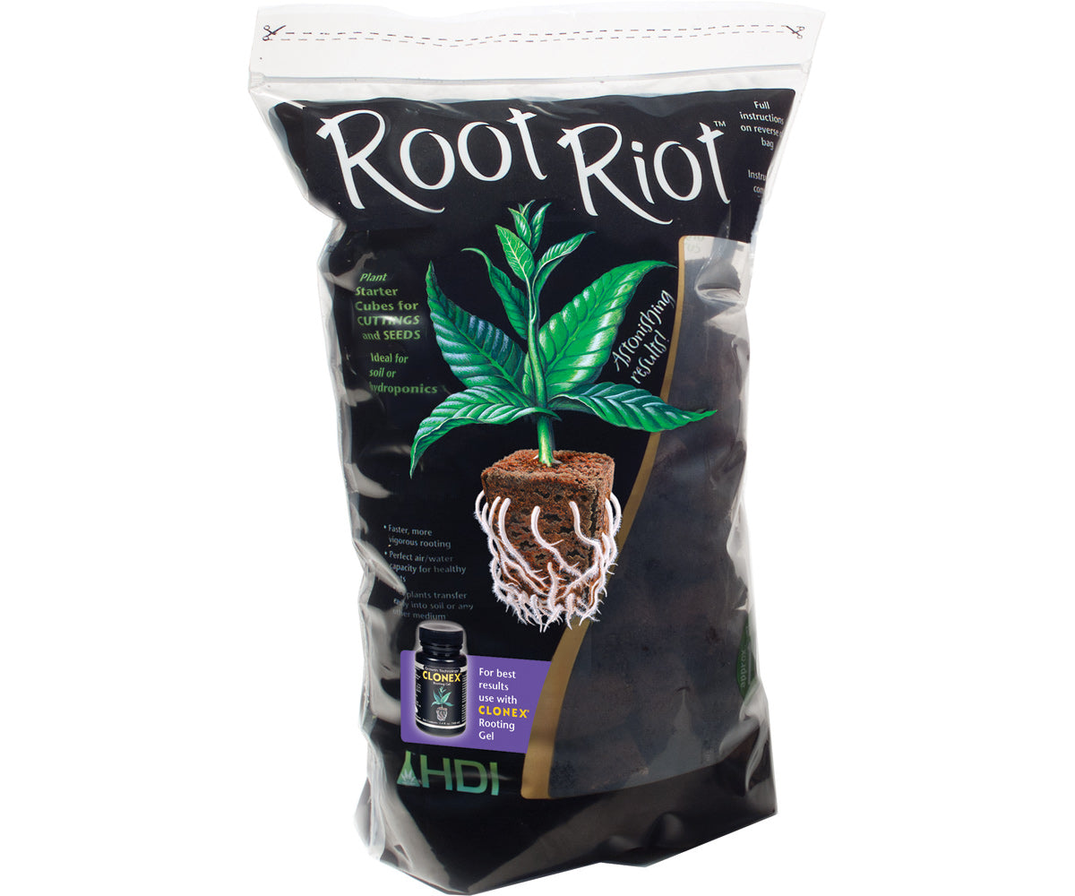 ROOT RIOT