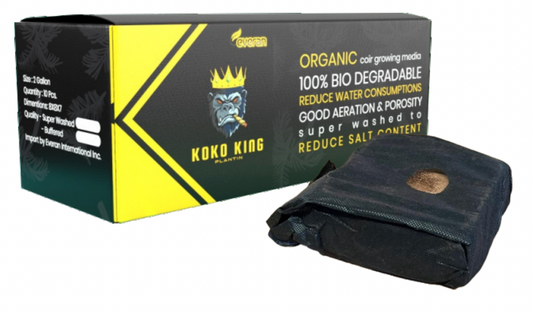 KOKO KING FABRIC QUICKFILS
