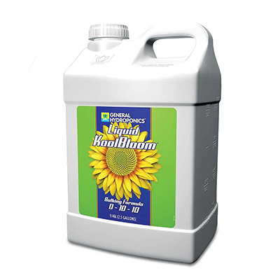 GH LIQUID KOOLBLOOM