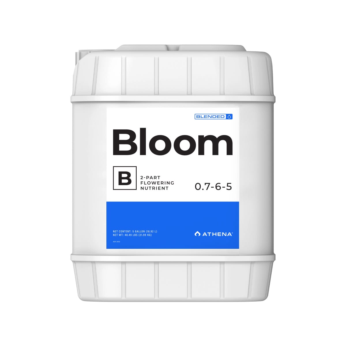 ATHENA BLOOM B