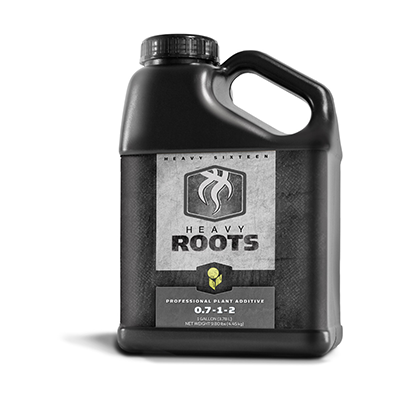 HEAVY 16 ROOTS