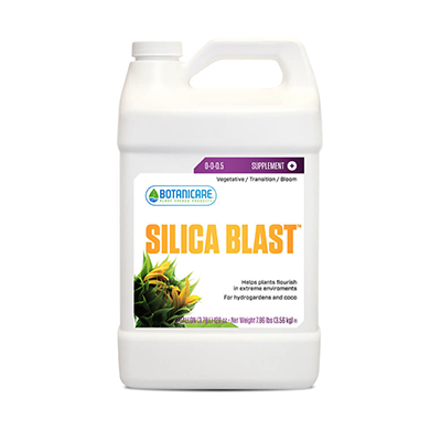 BOTANICARE SILICA BLAST