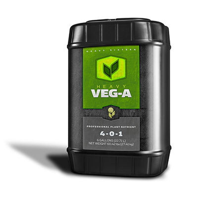 HEAVY 16 VEG A