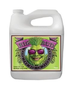 ADV NUTE BIG BUD
