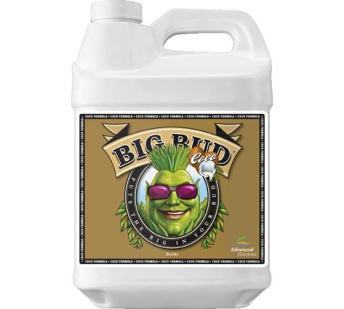 ADV NUTE BIG BUD COCO
