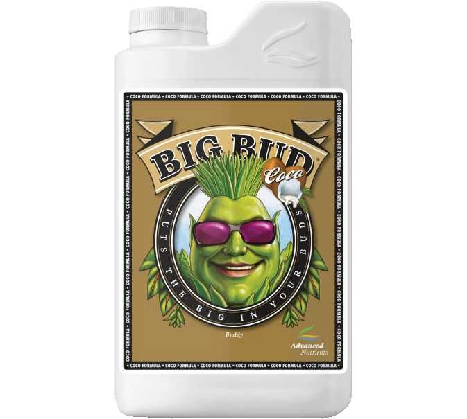 ADV NUTE BIG BUD COCO