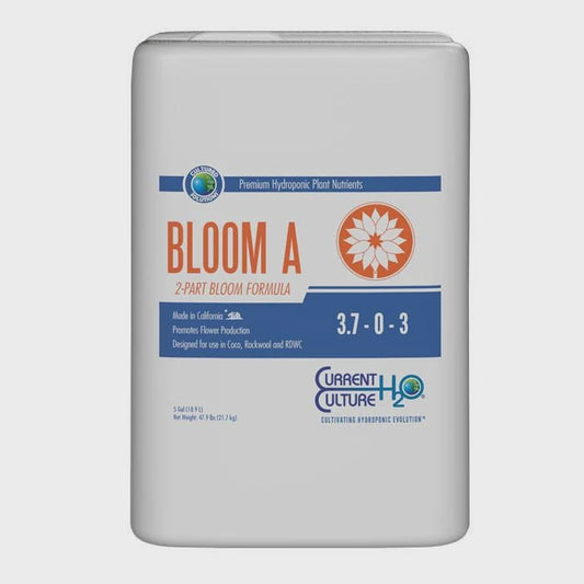 CULTURED SOLUTIONS BLOOM A