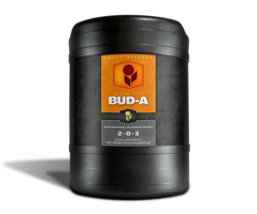 HEAVY 16 BUD A