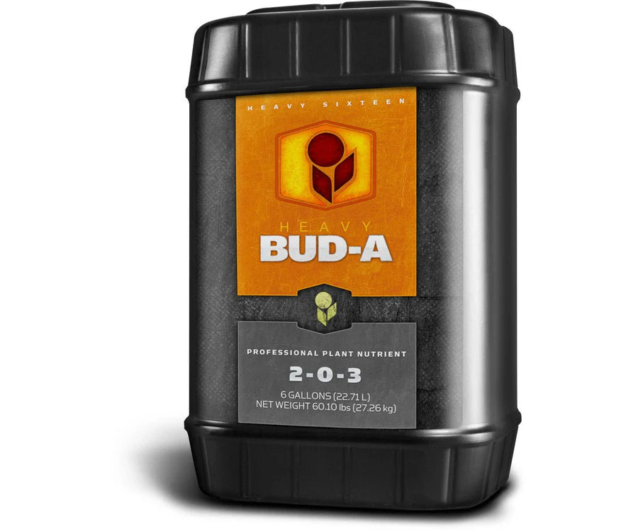 HEAVY 16 BUD A