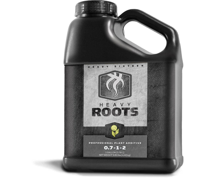 HEAVY 16 ROOTS